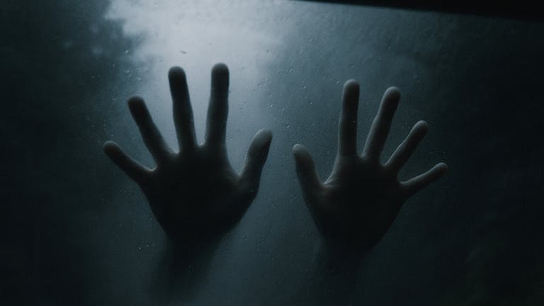 夜の山道で、フロントガラスの上にふたつの手