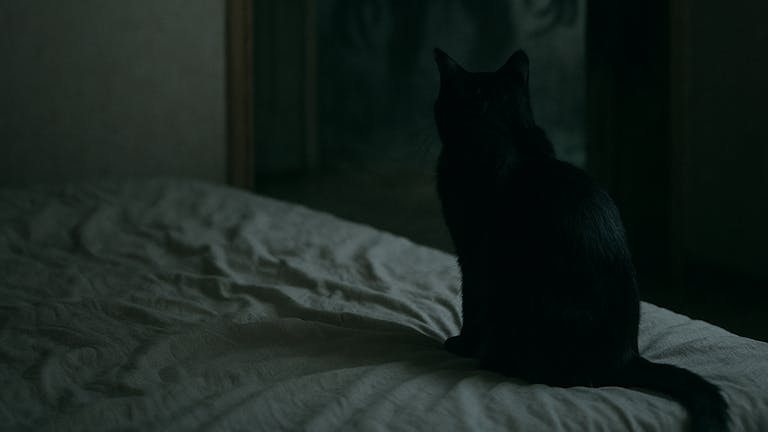 帰らざる者の足音